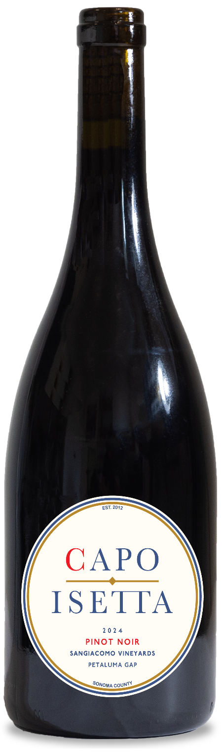 2024 Petaluma Gap Pinot Noir